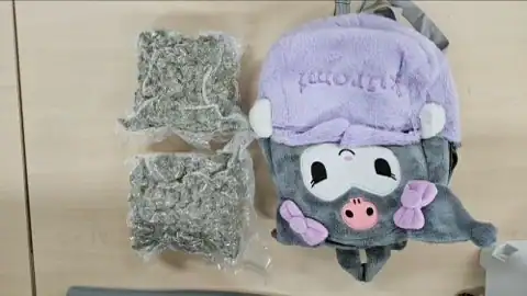 광주세관, 대마초 밀수·투약한 베트남인 2명 구속