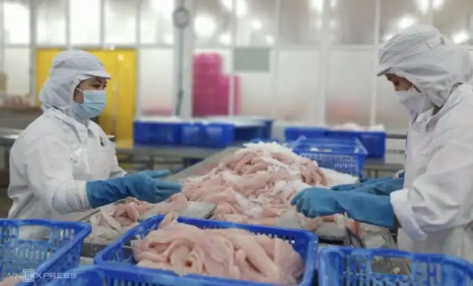 중국, 미국 제치고 베트남 최대 수산물 수입국 부상