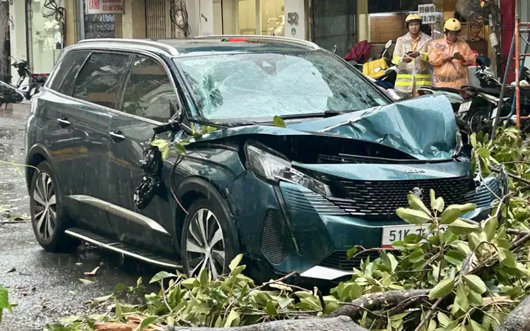 호찌민시 강풍·천둥번개로 가로수 잇따라 쓰러져