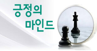 A chess piece is reflected in a mirror with the words korean.
