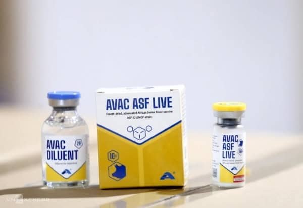베트남, 아프리카돼지열병 백신 필리핀 추가 수출…34만도즈