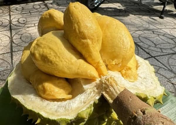 청과류 수출 호조…9월 13억달러 전년比 41%↑‘역대 최고치’