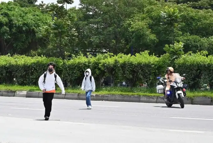 “300m 앞 육교 놔두고 무단횡단”…대학생들 줄줄이 벌금