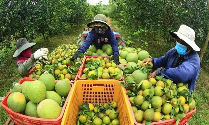 베트남의 위대한 계획….10년간 농촌개발·빈곤퇴치에 4680억 달러 투입!