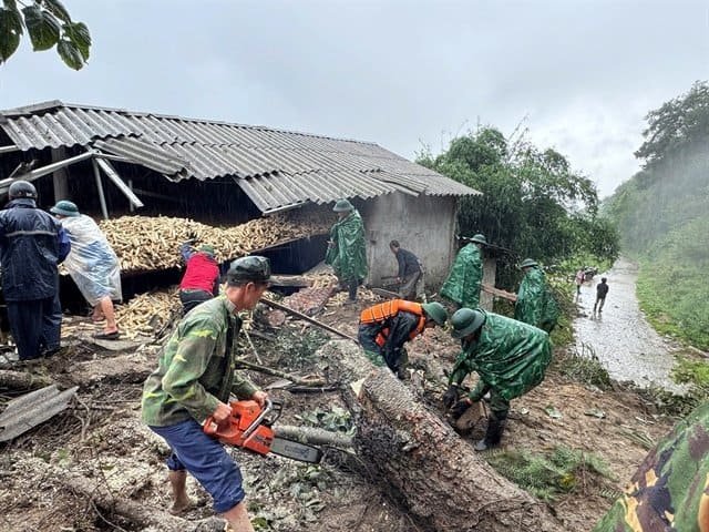 정부, 태풍 피해 15개 지방에 2조5천억 동 긴급 지원
