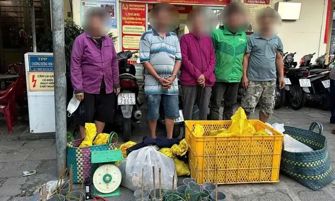 호찌민 경찰, 도난 개·고양이 거래 조직 적발… 15명 체포