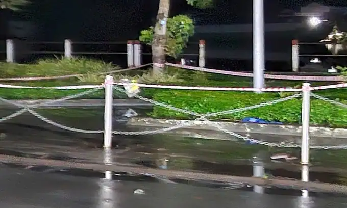 침수 공원서 가로등 누전…어린이 2명 감전사