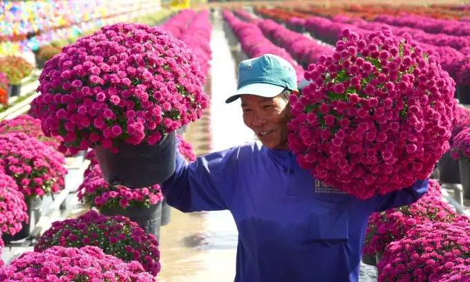 베트남, 내년 설 연휴 9일 추진…2년 연속 ‘황금 휴가’