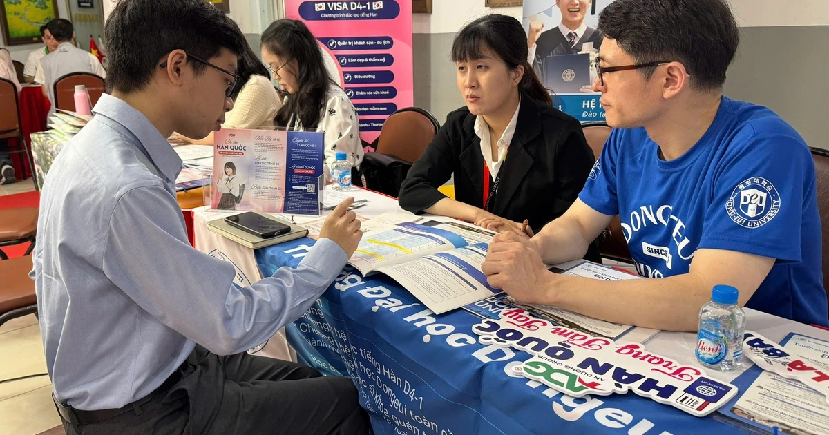 160만 이상 청년 '학습, 취업, 훈련 없음': 졸업 후 문제