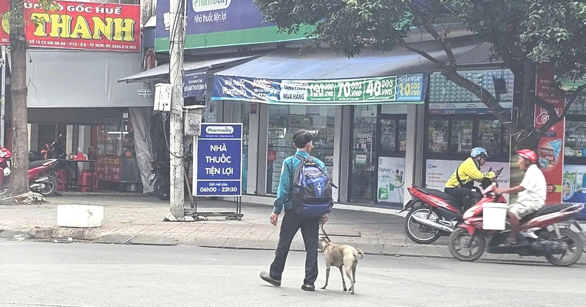 광고판에서 구직 활동 나선 남성