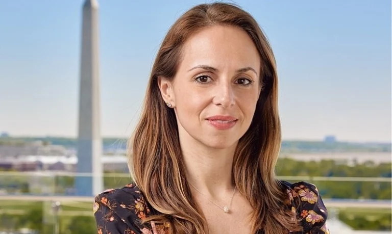 남편의 새해 범죄, 아내에 대한 질투