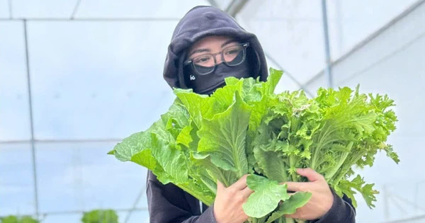 베트남, 원격 농업 및 채소 상자로 깨끗하고 친환경적인 라이프스타일을 조성하다