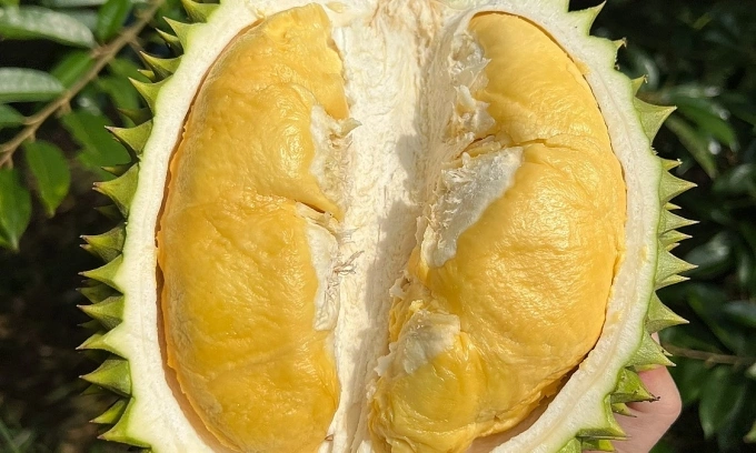 베트남, 태국에 과일 수출 60% 감소