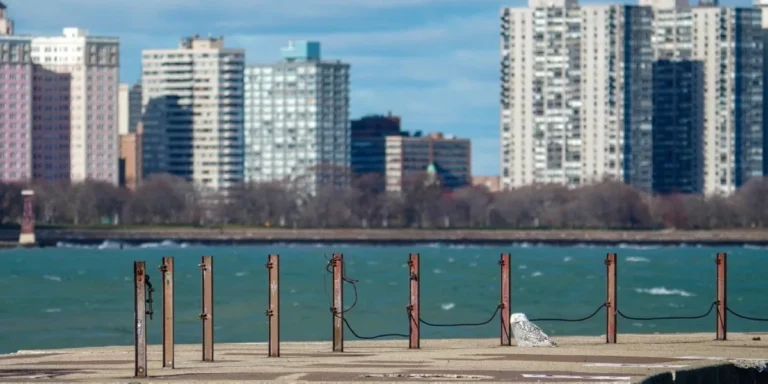 시카고, 북극의 새 친구 등장