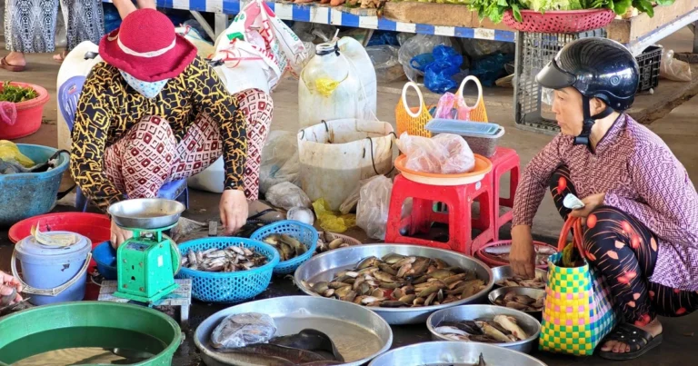 저소득 사업자, 전자세금계산서로 혼란 해소