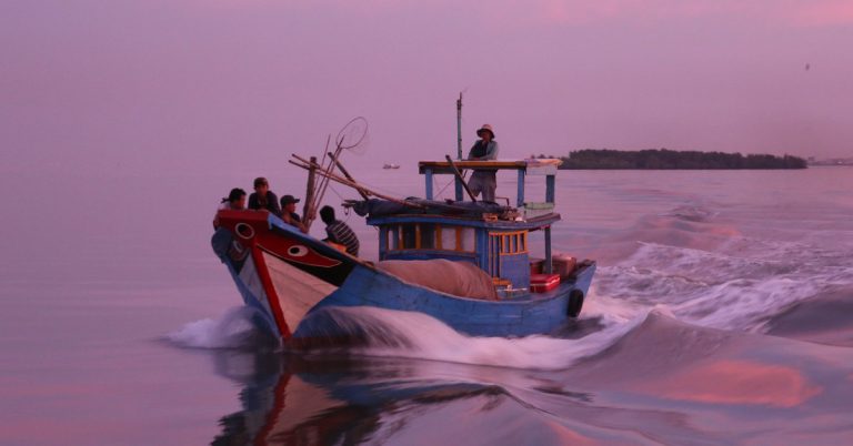 제16호 태풍 리스크 앞에, 호치민시 18년간 3차례 태풍 피해로 증가 추세