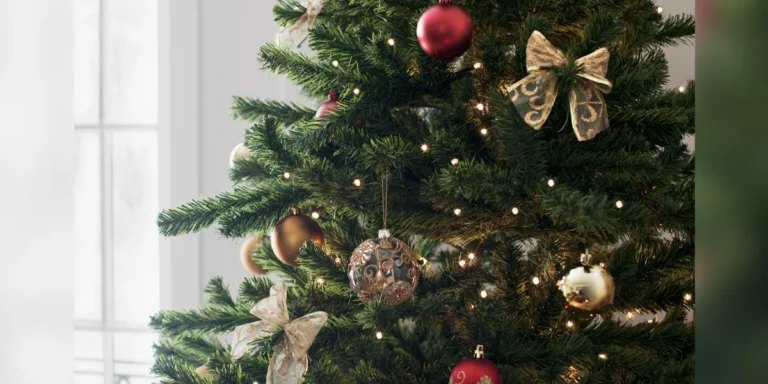 크리스마스 나무에서 세 마리의 아기 새를 발견한 가족