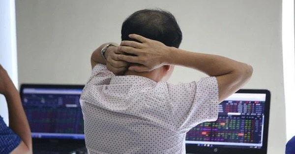 VN-Index 500포인트 상승에도 투자자 손실 원인 분석