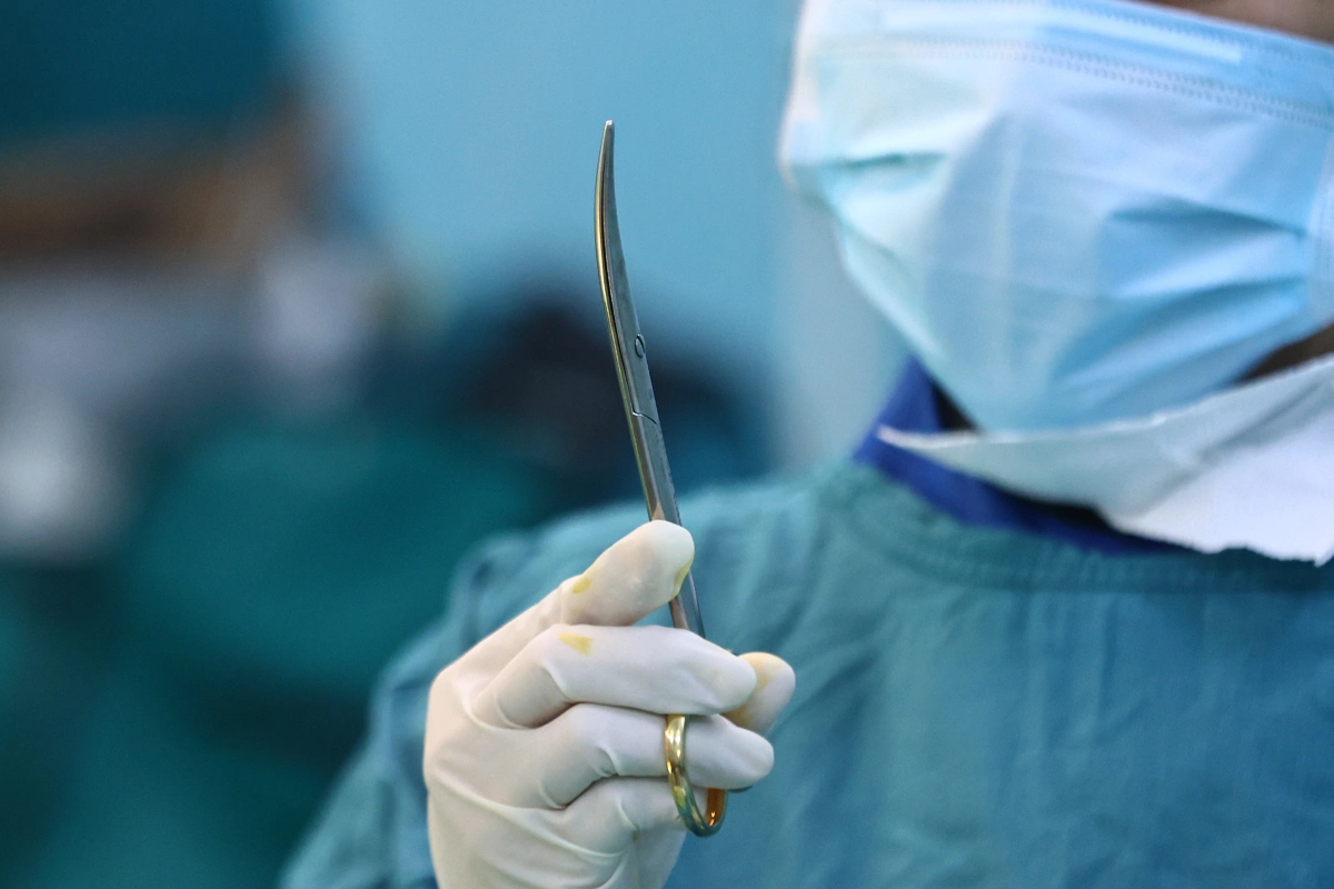 개에 물린 남자아이, 가슴 관통으로 폐까지 다쳐