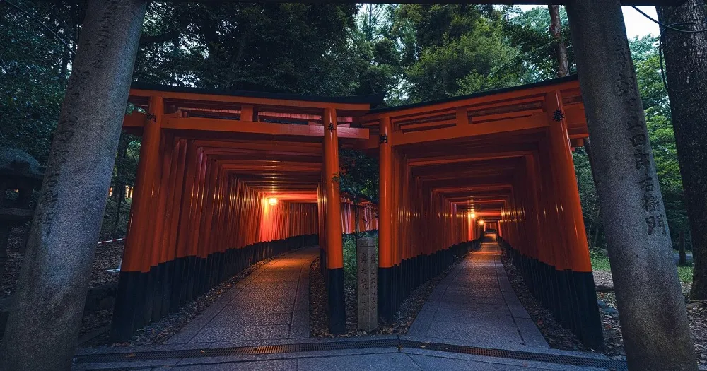 교토 후시미 이나리 신사 근처 대나무 나무 훼손 사건