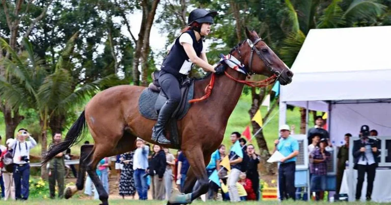 경마·경견·국제축구 베팅 신규정 제안… 공무원 1.5억 동 이상 자산 신고 의무