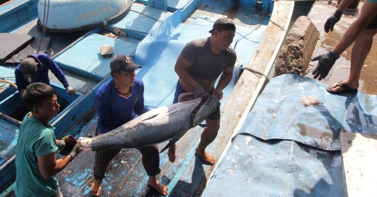 미국, 베트남 수산물 12종 수입 금지…어민·업계 “생계 위협”