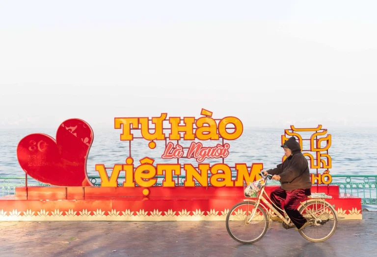 베트남, 노인 증가와 아동 감소