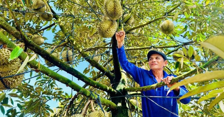 수출, 500억 달러 목표 달성 나선다