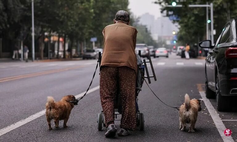 중국의 ‘자녀 없는 세대’