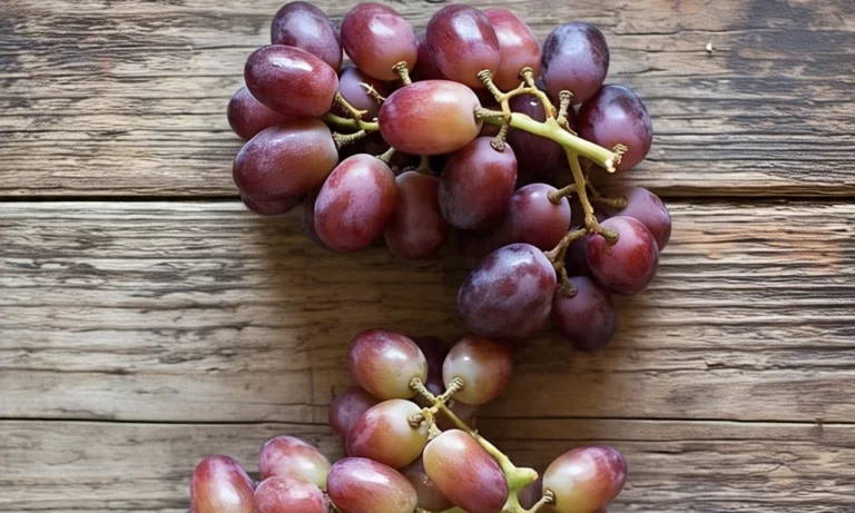 포도 소비가 건강에 미치는 영향