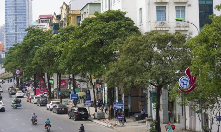 하노이(Hà Nội), ‘금싸라기 땅’ 응우옌(Nguyễn) 치 타인 집 고층 건물 프로젝트 종료
