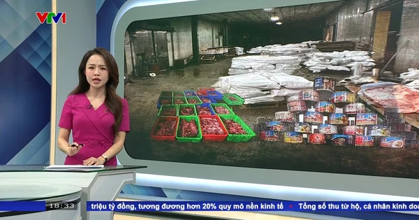 하노이의 120톤 불량 돼지고기 사건: 하이퐁 경찰 공식 수사 착수