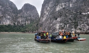 하롱베이에서 도박단 운영한 71세 남성 검거