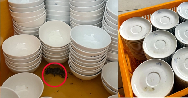 호찌민시 결혼식장, 식품 안전 문제 노출