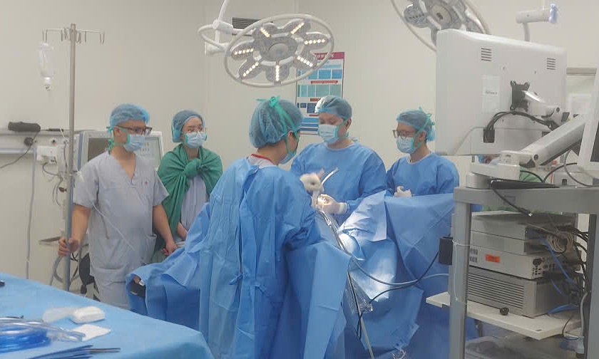 귀향길 날벼락… 박닌서 부부 덮친 물소에 중상