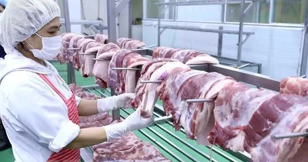 베트남 돼지고기 소비 세계 4위… 1인당 연간 39kg 육박