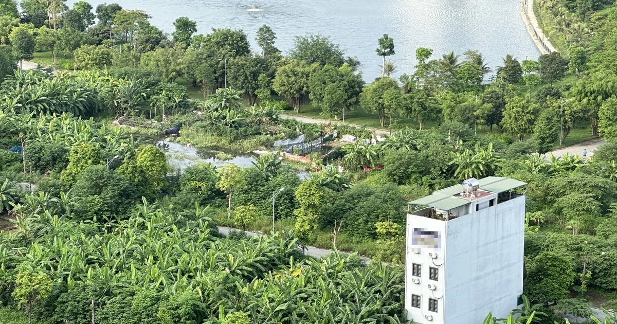 베트남 법원, '외국인 남편-처가' 부동산 분쟁서 남편 손 들어줘