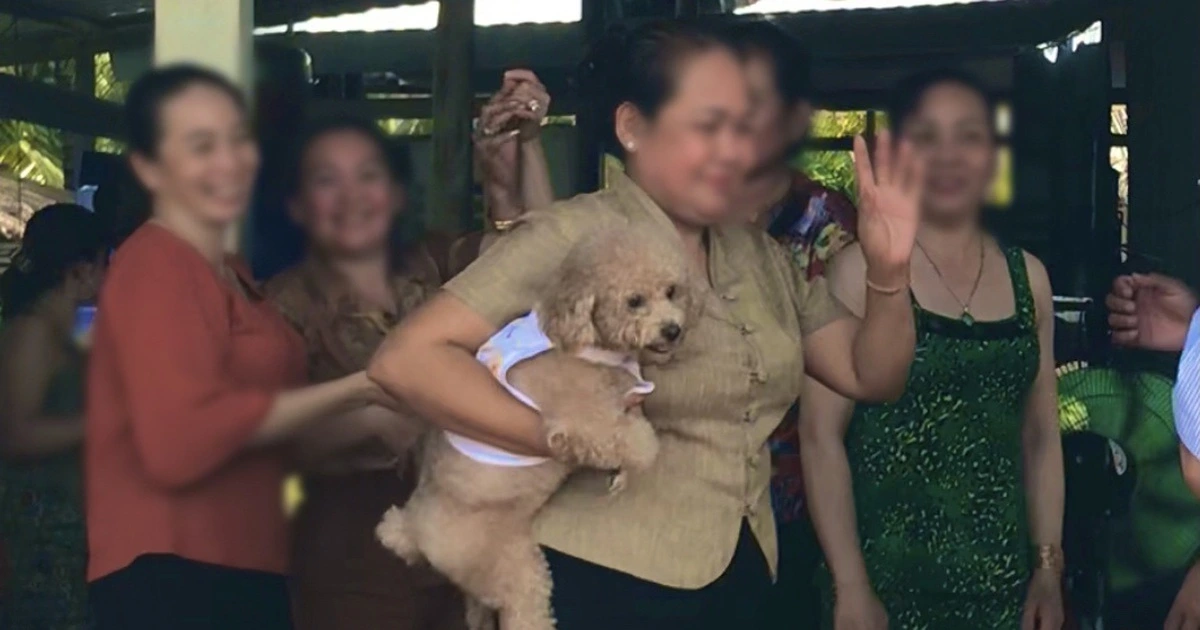 설날 반갑지 않은 손님... 반려동물 동반 방문에 속앓이하는 집주인들