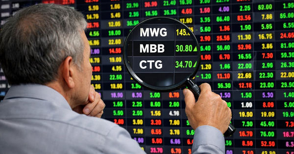 조 단위 '상어'들의 선택... MWG와 은행주 2종이 포트폴리오 장악