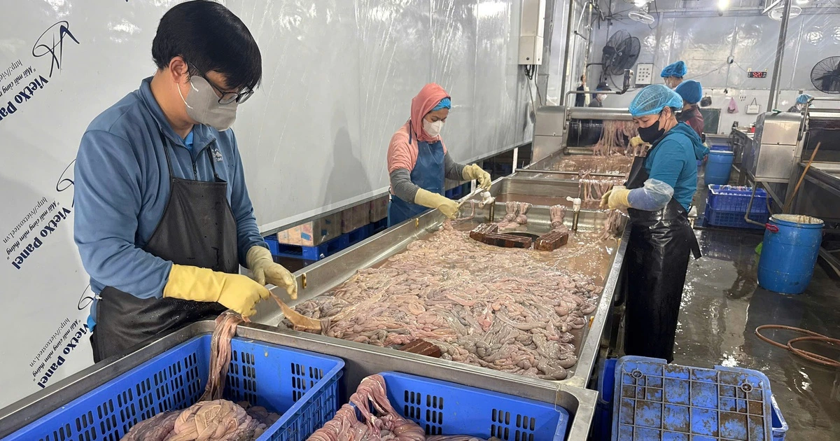 하노이 경찰, 둥팟 식품업체서 불량 돼지내장 60톤 압수....4~6개월 냉동 보관