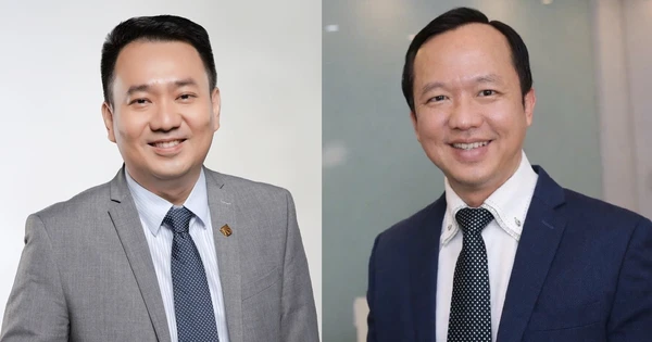 PNJ 새 사령탑에 'X-Men의 아버지' 판 꾸옥 꽁 선임