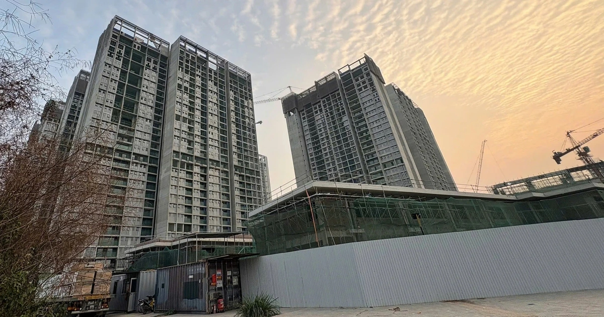 내 집은 어디에