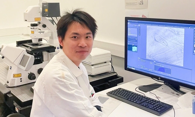 “쌀 속에 암세포 죽이는 비책 있다”… 베트남 과학자, 항암 화합물 발견