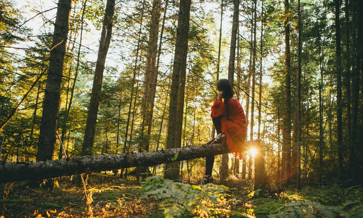 지친 현대인을 위한 일본의 치유 요법 '신린요쿠(산림욕)'… 오감으로 즐기는 숲속 휴식