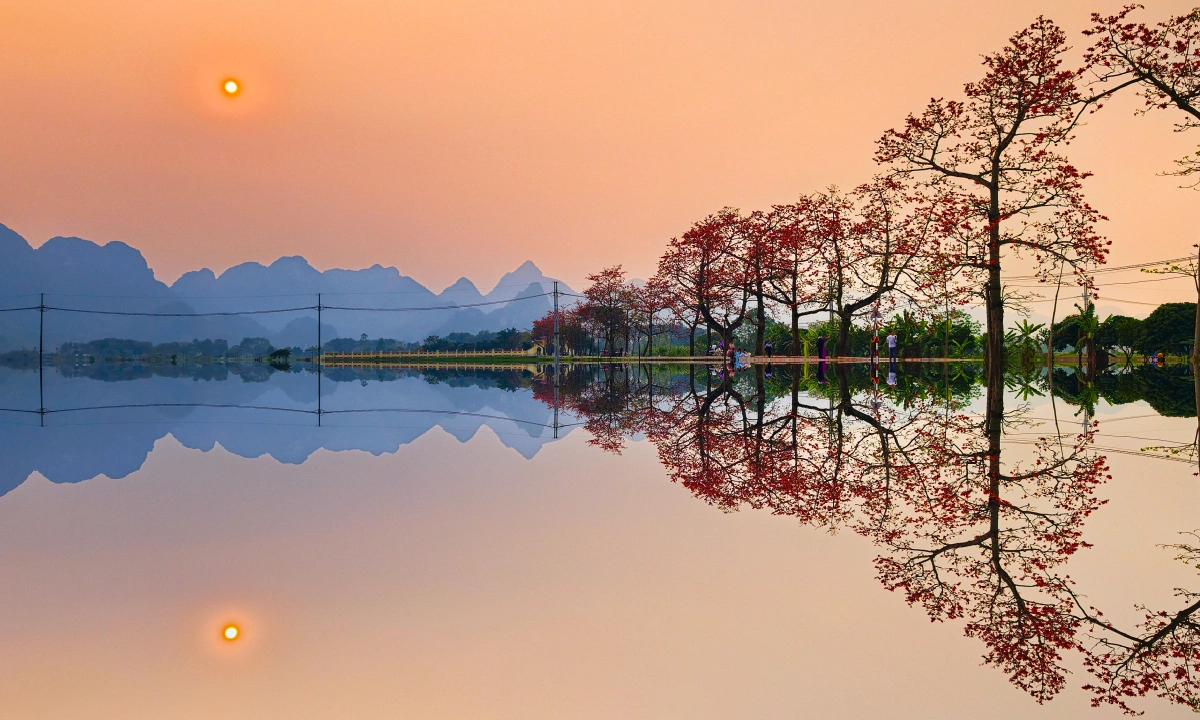 하노이 외곽 물들인 붉은 물결… 도안누 마을 '판꽃' 장관
