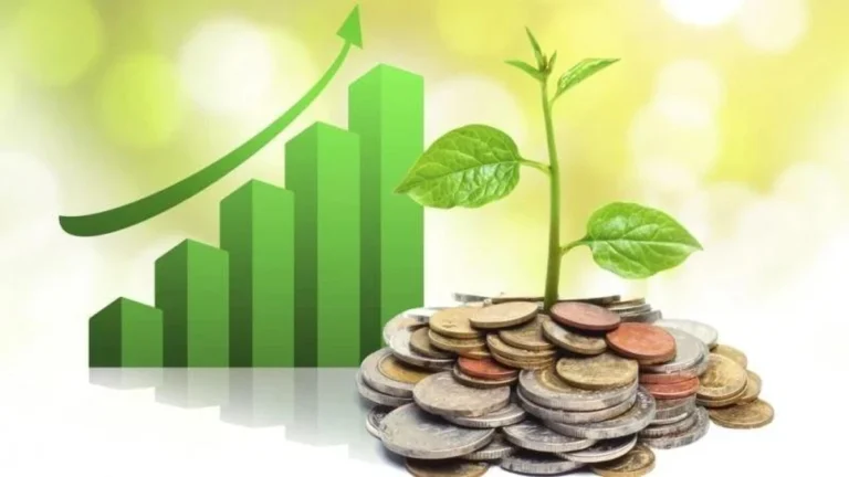 “현금이 쏟아진다”… 이번 주 17개사 배당 권리락, 최대 88% ‘배당 잔치’