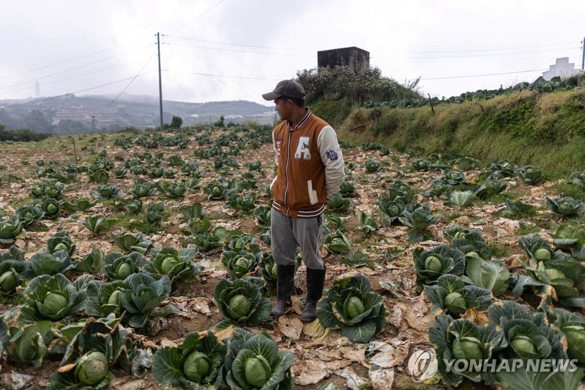 동남아·남아시아, 중동 전쟁에 농사 타격…식량위기 우려 확산