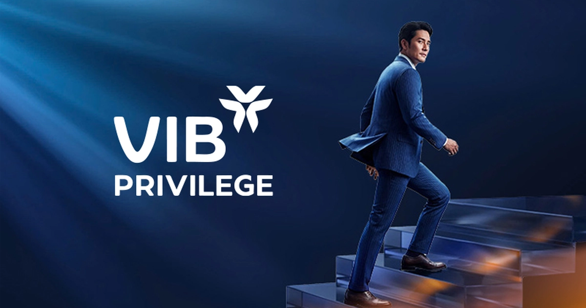 VIB, 프리미어 뱅킹 브랜드 ‘VIB 프리빌리지 뱅킹’ 론칭… ‘오로라’ 정신으로 자산관리 시장 공략