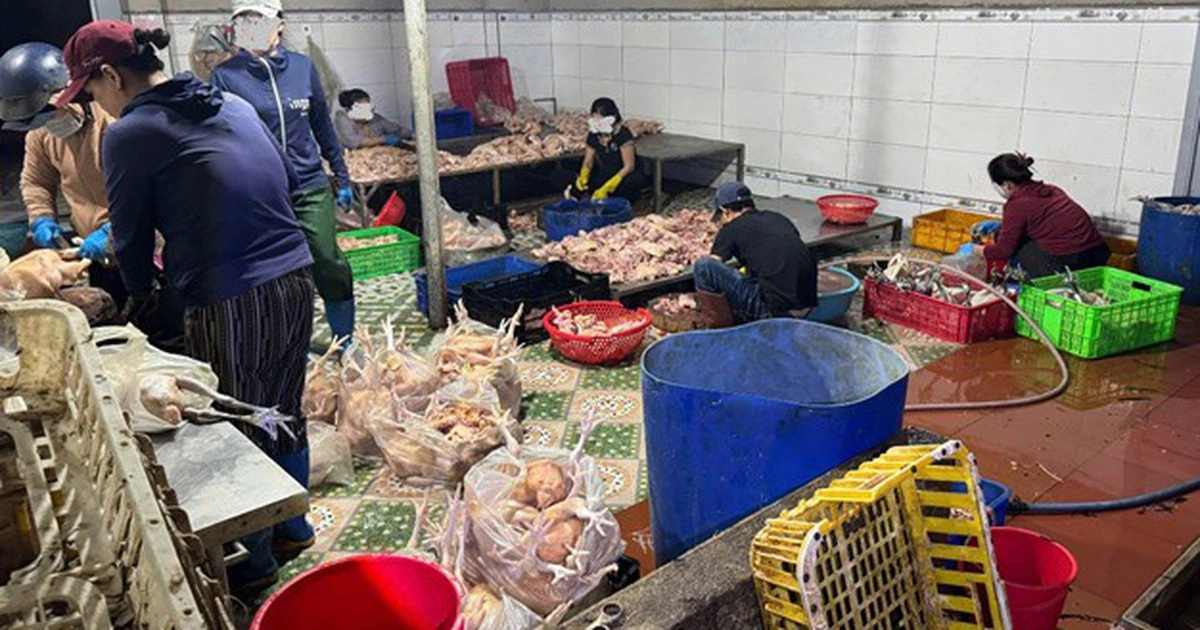 ‘불량 식품’ 뿌리 뽑는다… 보건부, 과태료 최대 1억 동으로 대폭 인상 추진