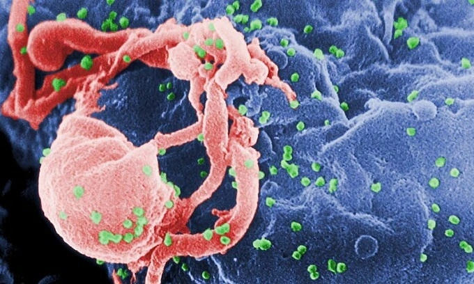 노르웨이서 세계 7번째 HIV 완치 사례 보고… 형제의 희귀 유전자 덕에 암까지 극복